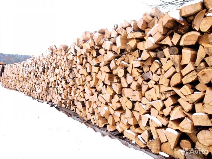 Дрова березовые
