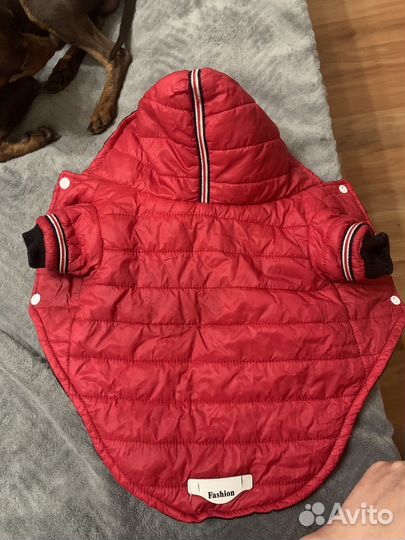 Одежда для животных