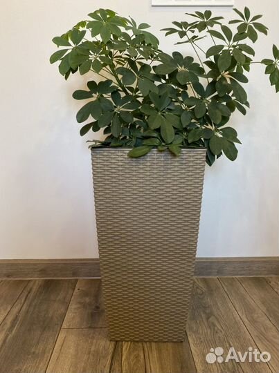 Кашпо напольное для цветов