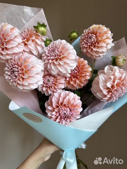 Букет из георгинов премиум. Доставка цветов