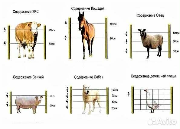 Электропастух комплект
