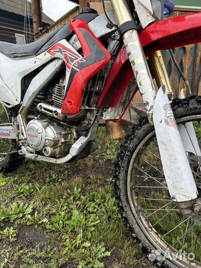 Motoland xr250