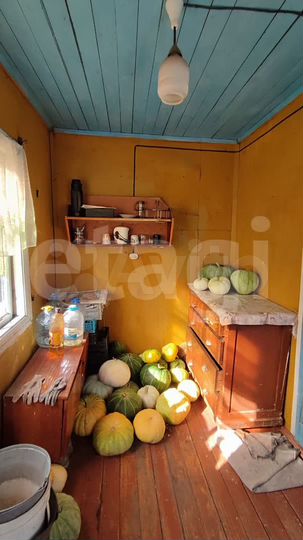 Участок 4,2 сот. (СНТ, ДНП)