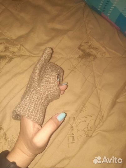 Одежда для собак