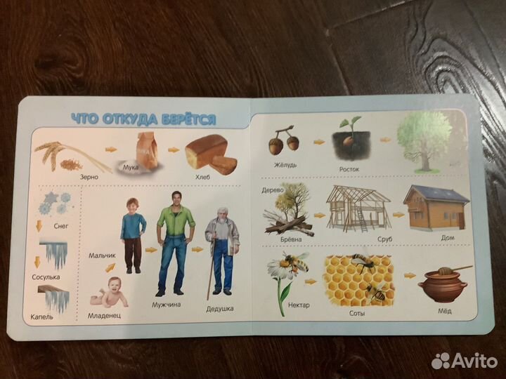 Книги виммельбух развиваем логику (с окошками)