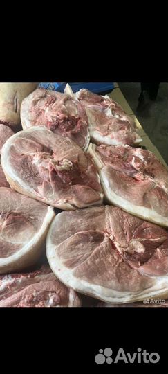 Мясо свинина