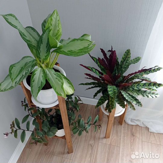 Деревянная напольная подставка для цветов