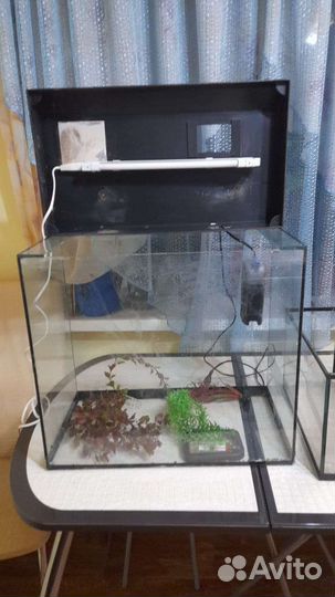 Аквариум