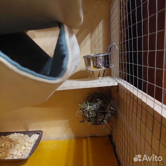 Клетка для шиншиллы (130*65*66 см) и аксессуары