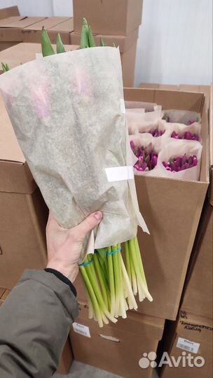 Тюльпаны с юга к 8 марта оптом