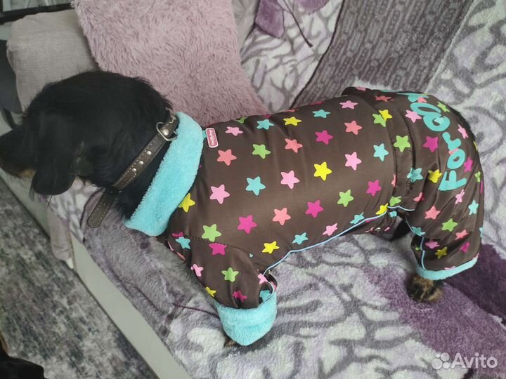 Зимний комбинезон для собак