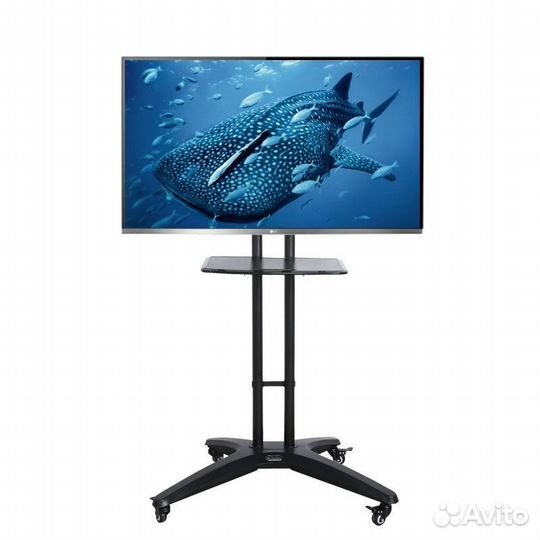 Проектор и экран в Аренду Панели ЖК LG Прокат