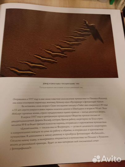 Книга Лучшие фотографии женщин. Ньюман Кэти