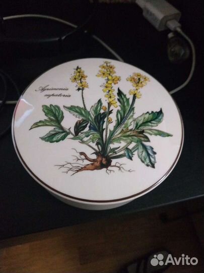 Шкатулка agrimonia из серии ботаника villeroy&boch