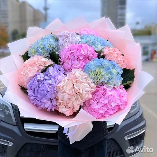 Гортензии в Букете. Доставка/Самовывоз