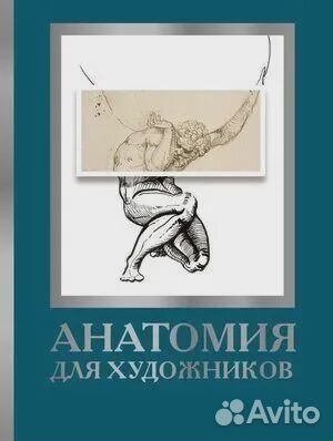 Анатомия для художников