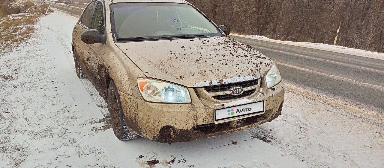 Kia Cerato: фото владельца