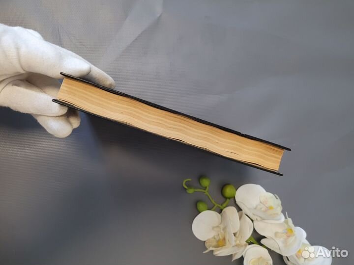 Маклин Макдональд Свидание в морге 1993