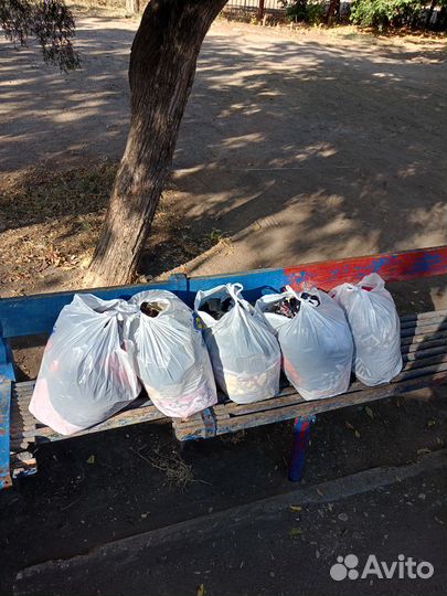 Мешки с вещами