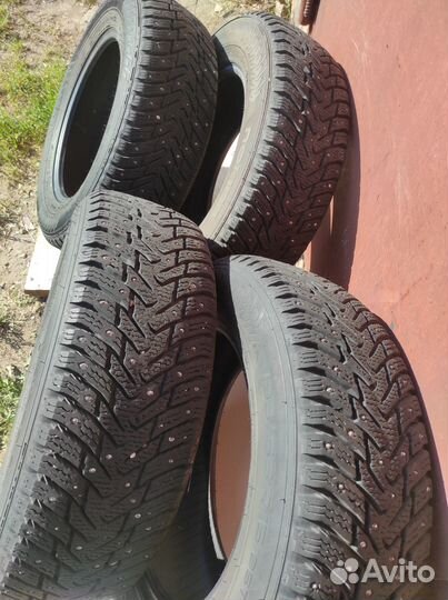 Nokian Tyres Hakkapeliitta 8 195/65 R15 95T