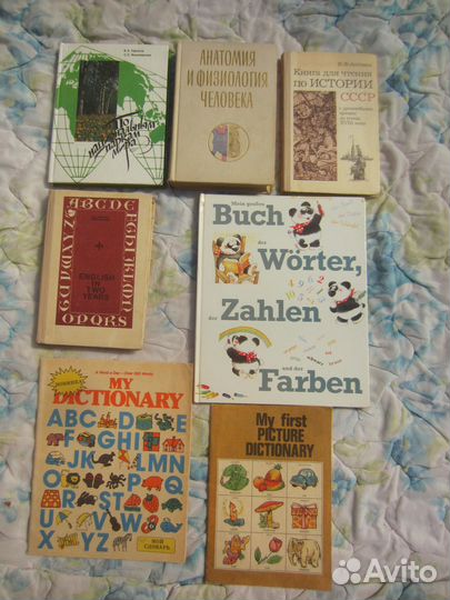 А.М. Цузмер. О.Л. Петришина. Человек. Анатомия