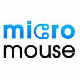 Micro Mouse