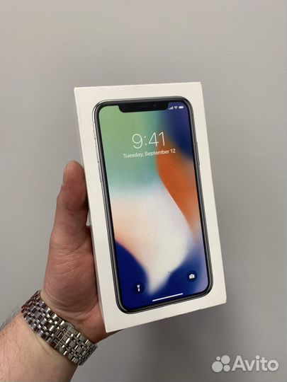 iPhone X, 256 ГБ