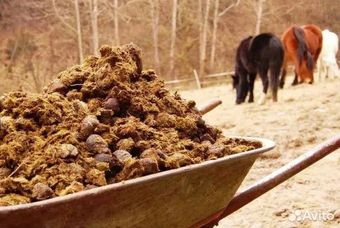 Удобрение конское