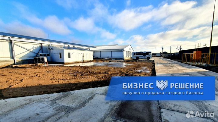 Рыбное производство доля 50