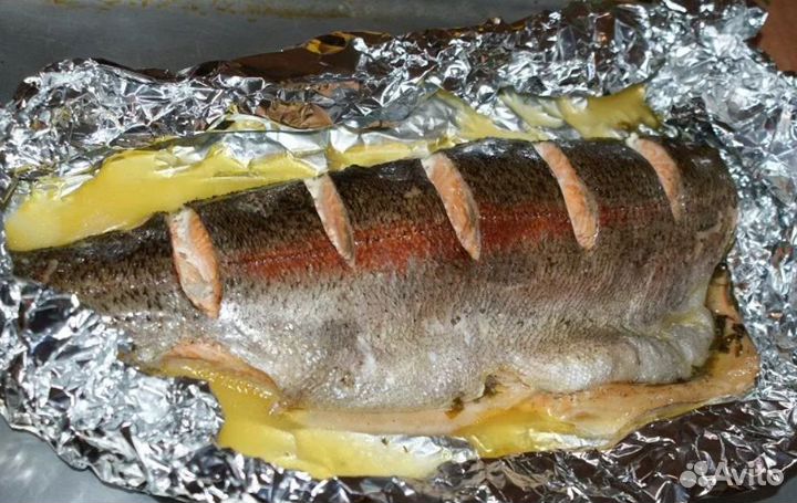 Форель радужная