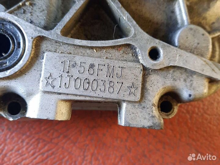 Картер лев 140