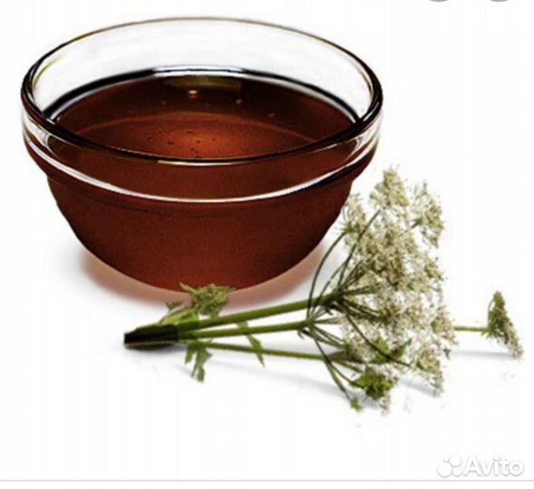 Сибирский натуральный мед дягилевый 1кг