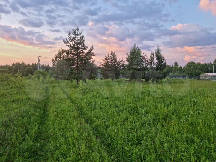 Участок 8 сот. (СНТ, ДНП)