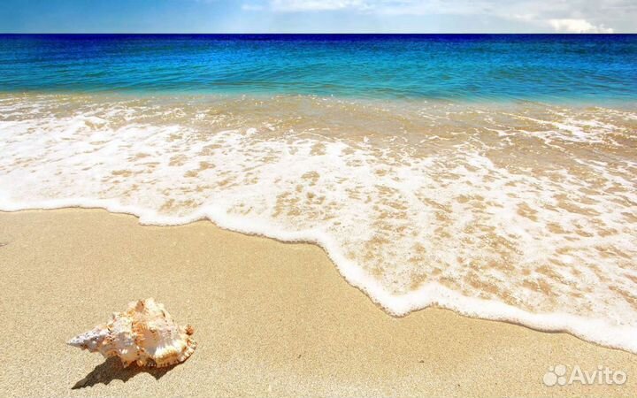 Поездки на море из Краснодара