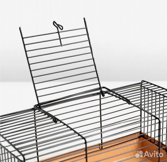 Хомячок джунгарский 2 месяца с клеткой