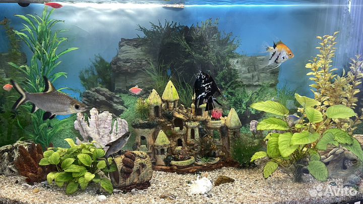 Аквариум с тумбой 280л