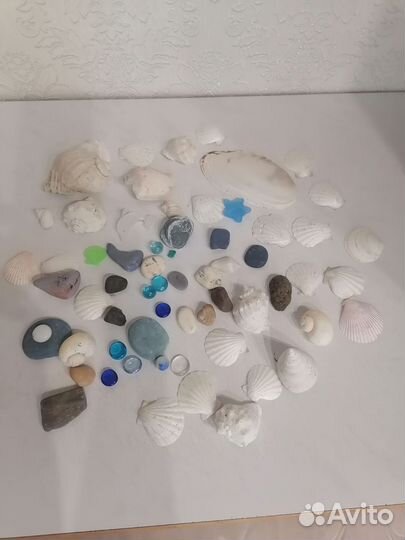 Ракушки, камешки для аквариума