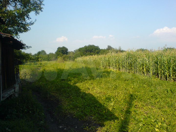 Дом 77,5 м² на участке 50 сот.