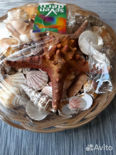 Ракушки для аквариума, пруда, фонтана, поделок