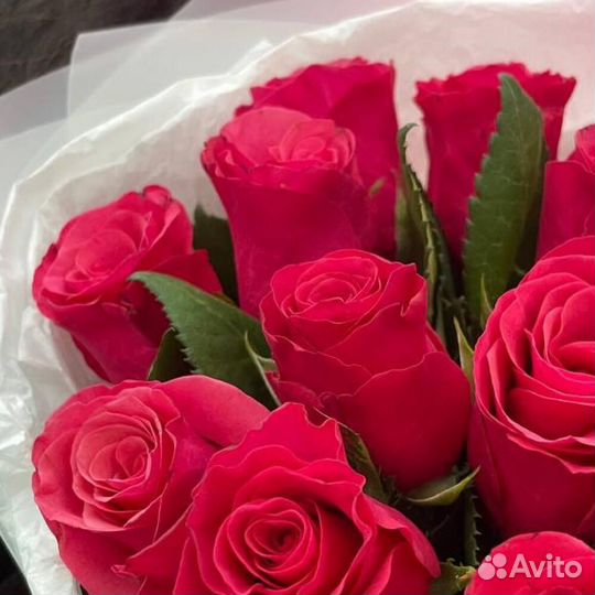 Розы 31 51 101 роза букет