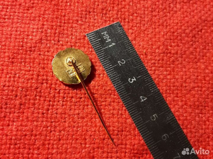 Гимнастика клуб/T.V.loxstedt v.1863/ Германия