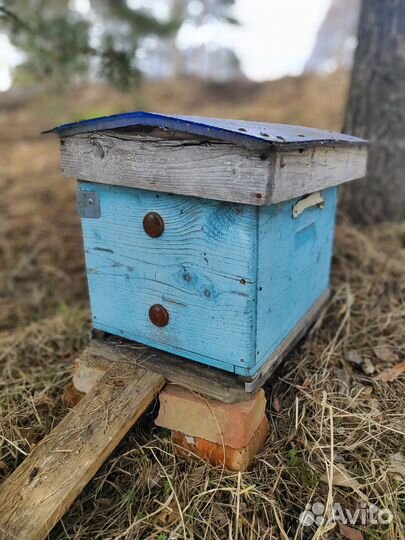 Улей для пчел домик