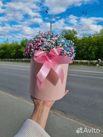 Коробка гипсофил