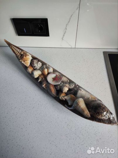 Набор ракушек для аквариума или декора