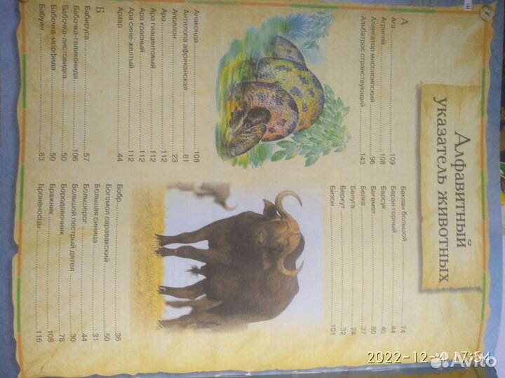 Книга для детей