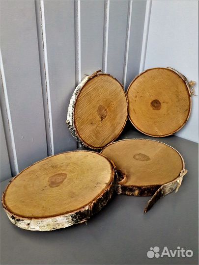 Спилы из березы