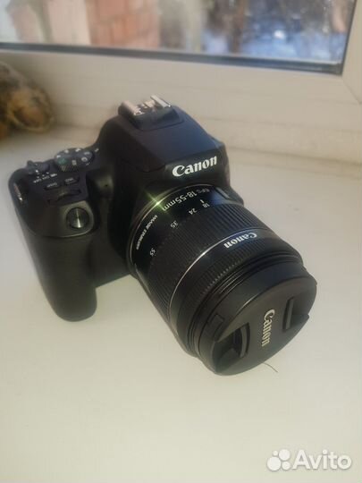 Зеркальный фотоаппарат canon EOS 250D Kit 18-55mm