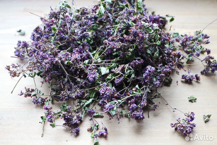 Душица сушеная