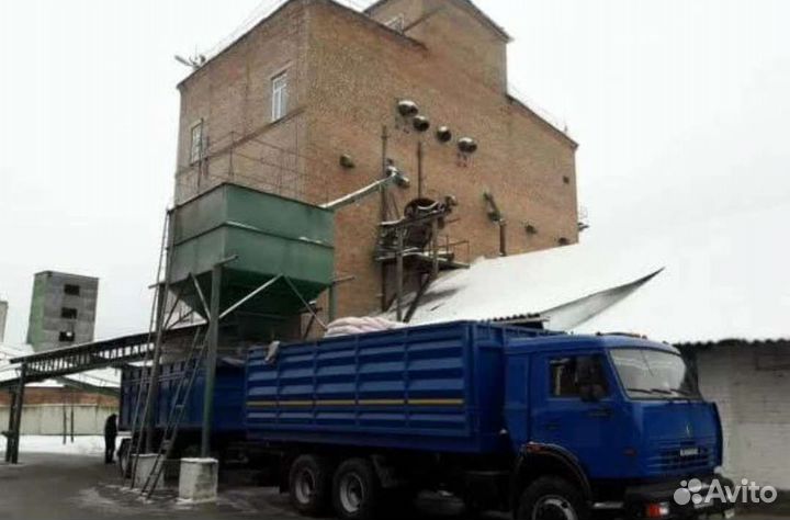 Семена кукурузы краснодарский 291 амв F1