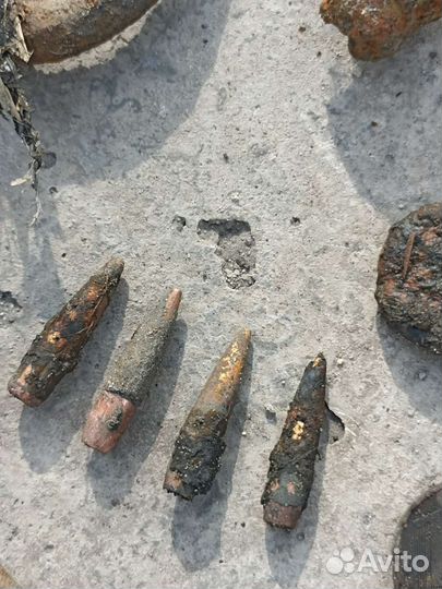 Поисковый магнит (аренда)